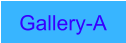 Gallery-A